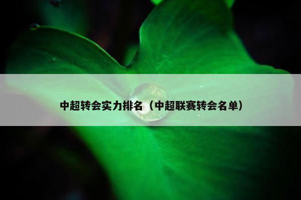 中超转会实力排名（中超联赛转会名单）
