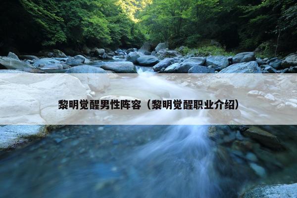 黎明觉醒男性阵容（黎明觉醒职业介绍）