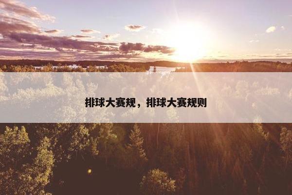排球大赛规，排球大赛规则