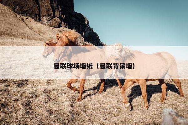 曼联球场墙纸（曼联背景墙）