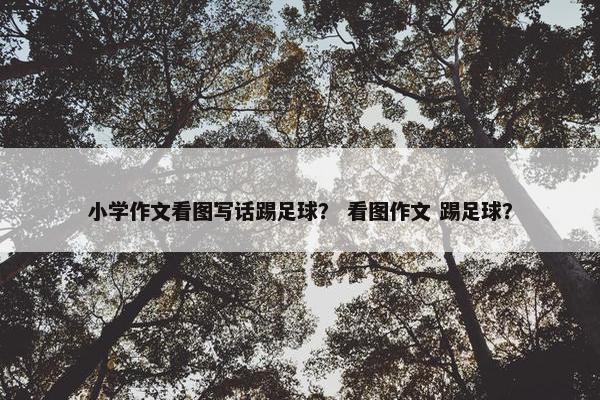 小学作文看图写话踢足球？ 看图作文 踢足球？