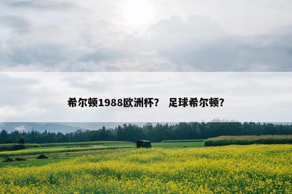 希尔顿1988欧洲杯？ 足球希尔顿？