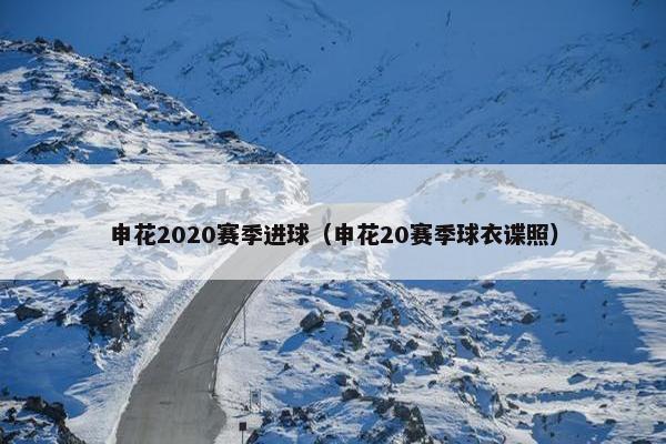 申花2020赛季进球（申花20赛季球衣谍照）