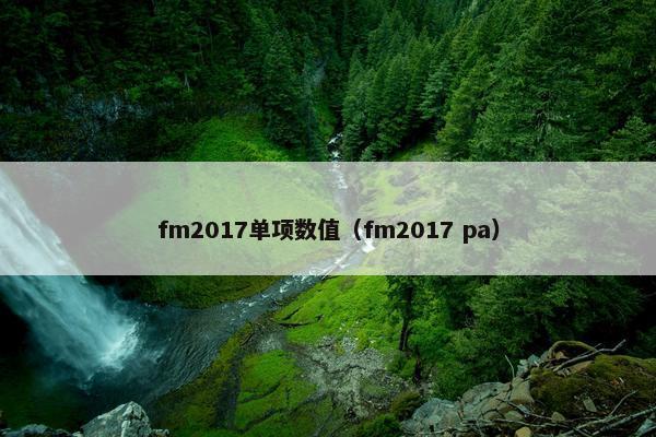 fm2017单项数值（fm2017 pa）