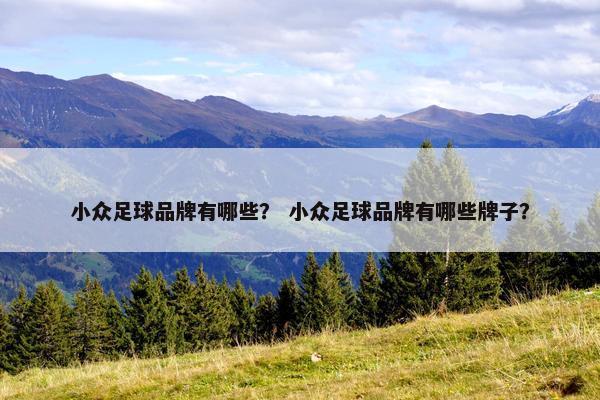 小众足球品牌有哪些？ 小众足球品牌有哪些牌子？
