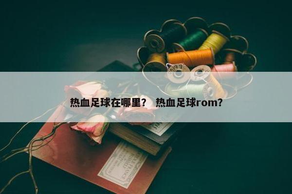 热血足球在哪里？ 热血足球rom？
