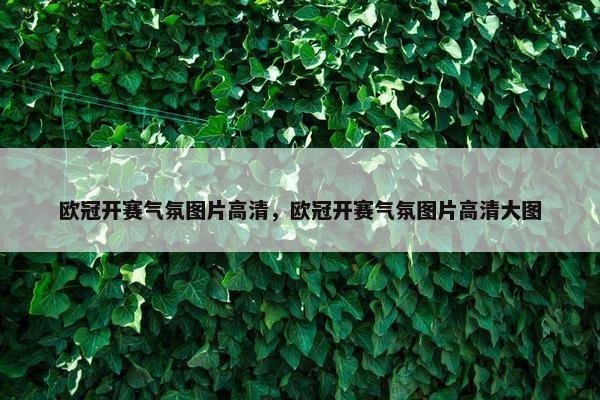 欧冠开赛气氛图片高清，欧冠开赛气氛图片高清大图