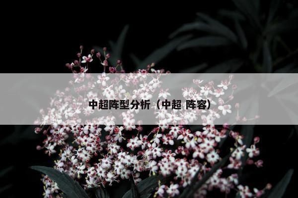 中超阵型分析（中超 阵容）