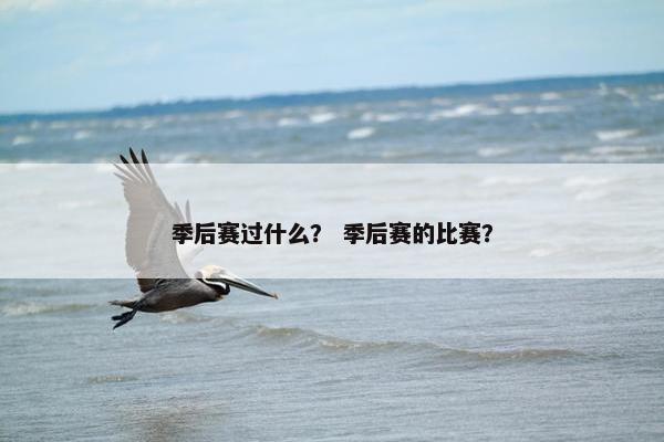 季后赛过什么？ 季后赛的比赛？