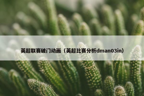 英超联赛破门动画（英超比赛分析dman03in）
