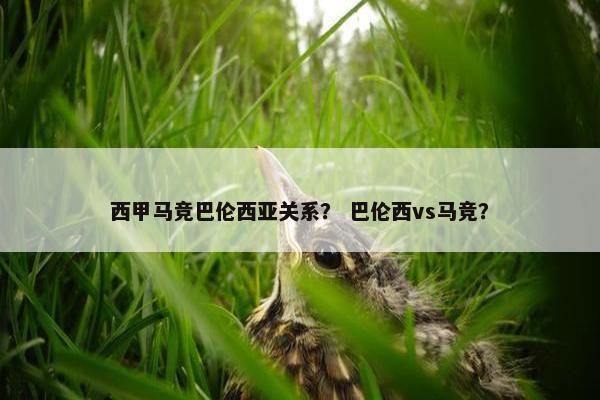 西甲马竞巴伦西亚关系？ 巴伦西vs马竞？