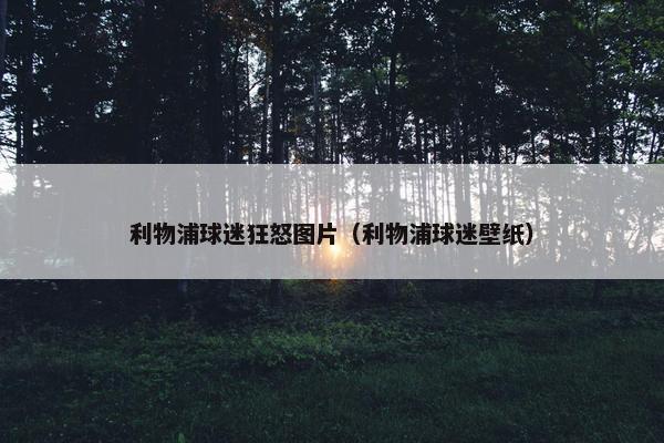 利物浦球迷狂怒图片（利物浦球迷壁纸）