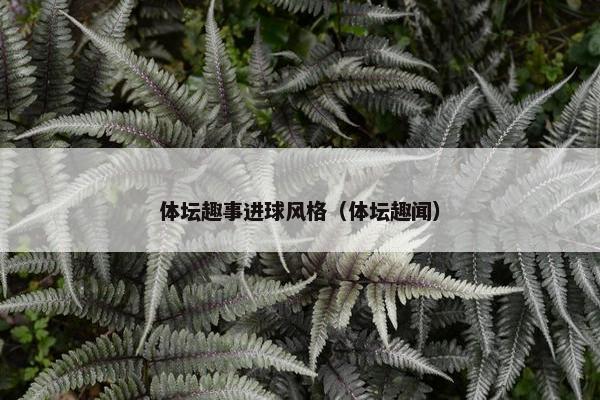 体坛趣事进球风格（体坛趣闻）