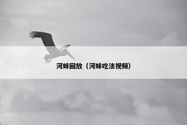 河蚌回放（河蚌吃法视频）