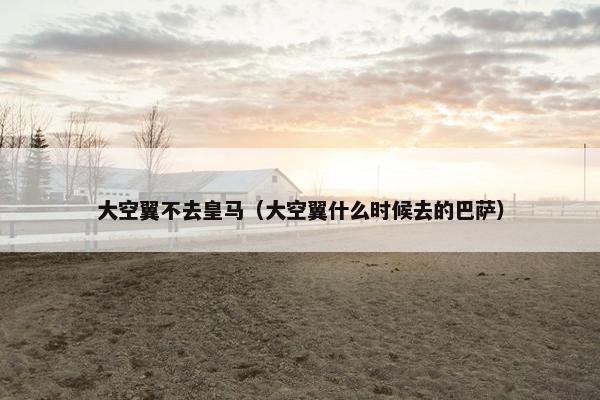 大空翼不去皇马（大空翼什么时候去的巴萨）