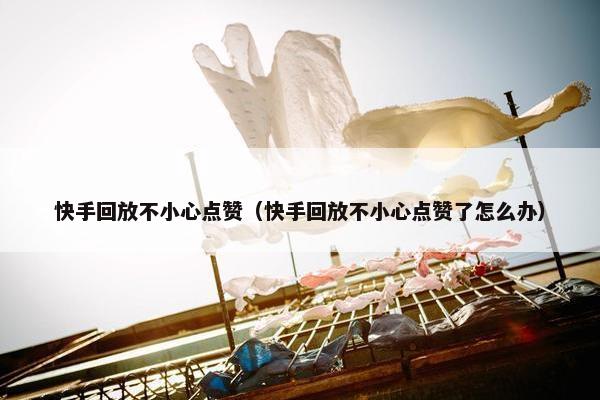 快手回放不小心点赞（快手回放不小心点赞了怎么办）