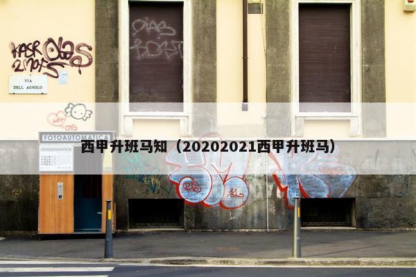 西甲升班马知（20202021西甲升班马）