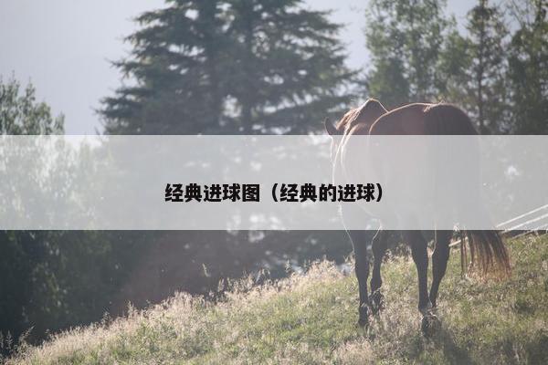 经典进球图（经典的进球）