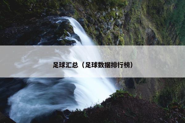 足球汇总（足球数据排行榜）