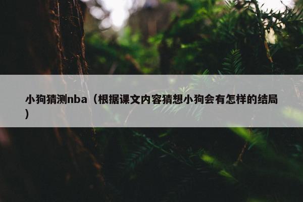 小狗猜测nba（根据课文内容猜想小狗会有怎样的结局）