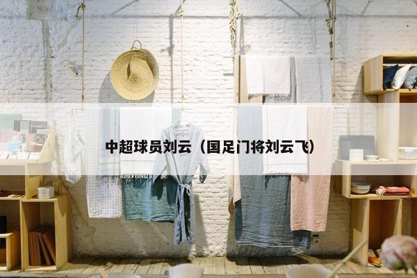 中超球员刘云（国足门将刘云飞）