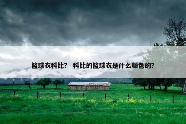 篮球衣科比？ 科比的篮球衣是什么颜色的？