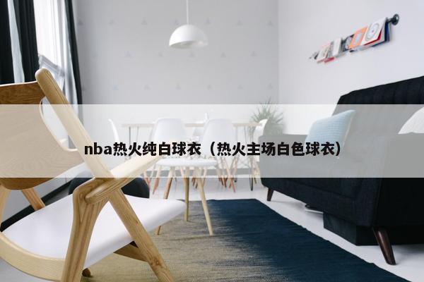 nba热火纯白球衣（热火主场白色球衣）