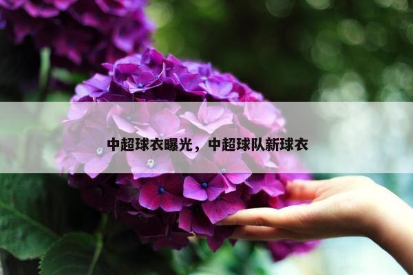中超球衣曝光，中超球队新球衣