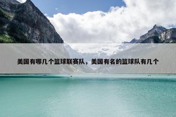 美国有哪几个篮球联赛队，美国有名的篮球队有几个