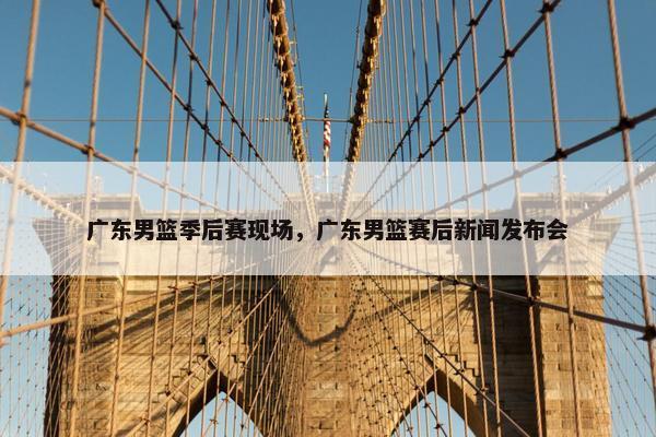 广东男篮季后赛现场，广东男篮赛后新闻发布会