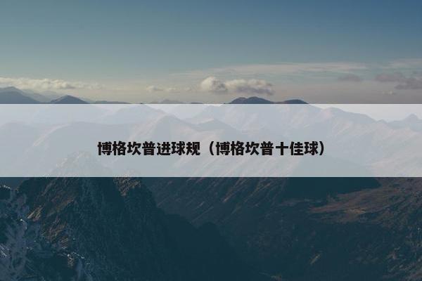 博格坎普进球规（博格坎普十佳球）
