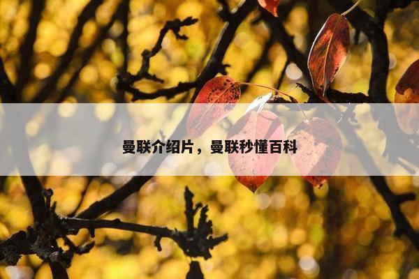 曼联介绍片，曼联秒懂百科