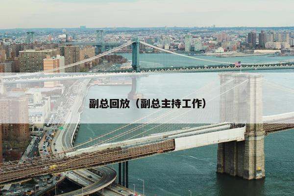 副总回放（副总主持工作）