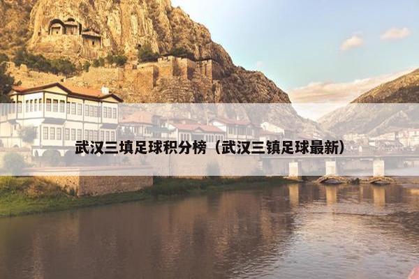武汉三填足球积分榜（武汉三镇足球最新）