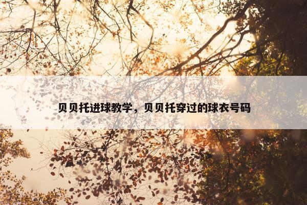 贝贝托进球教学，贝贝托穿过的球衣号码
