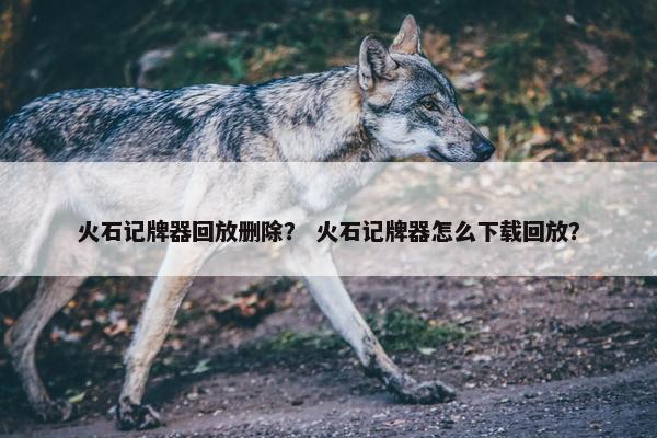 火石记牌器回放删除？ 火石记牌器怎么下载回放？