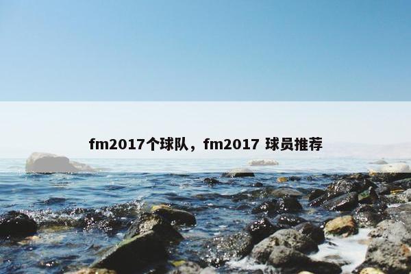 fm2017个球队，fm2017 球员推荐