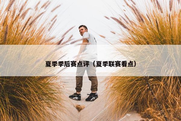 夏季季后赛点评（夏季联赛看点）