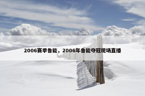 2006赛季鲁能，2006年鲁能夺冠现场直播