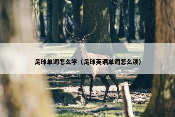 足球单词怎么学（足球英语单词怎么读）