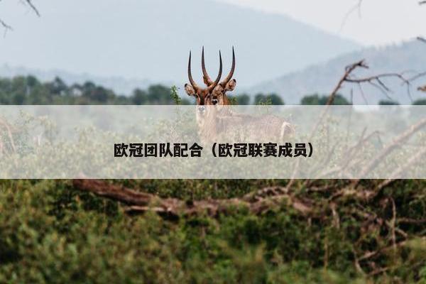 欧冠团队配合（欧冠联赛成员）