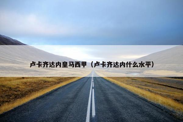 卢卡齐达内皇马西甲（卢卡齐达内什么水平）