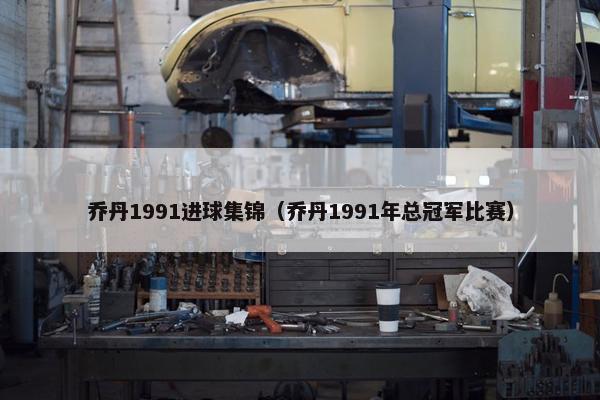 乔丹1991进球集锦（乔丹1991年总冠军比赛）