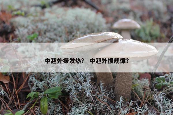 中超外援发热？ 中超外援规律？