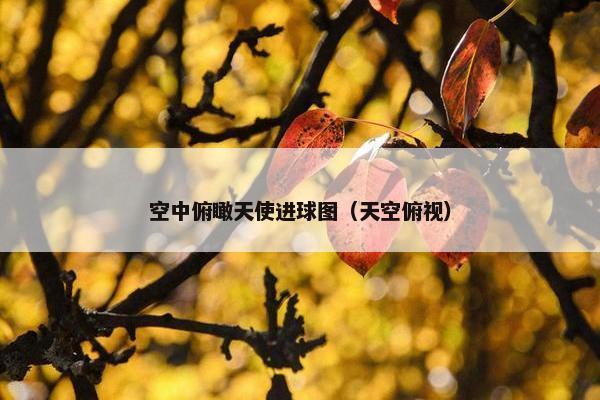 空中俯瞰天使进球图（天空俯视）