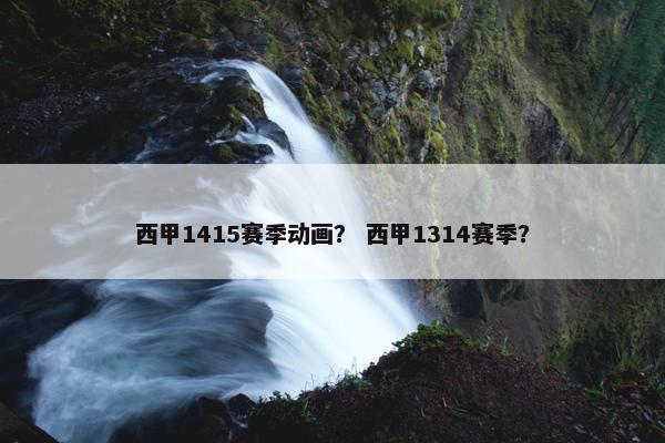 西甲1415赛季动画？ 西甲1314赛季？