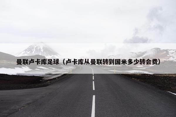 曼联卢卡库足球（卢卡库从曼联转到国米多少转会费）
