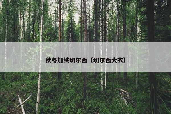 秋冬加绒切尔西（切尔西大衣）