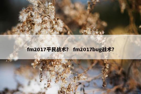 fm2017平民战术？ fm2017bug战术？