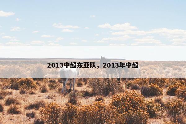 2013中超东亚队，2013年中超